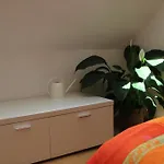 ゲストハウス ステラ エルフルト アム ドーム 3*