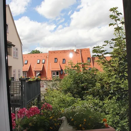 Stella Am Erfurter Dom