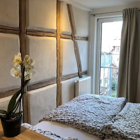 Stella Guest house 3*