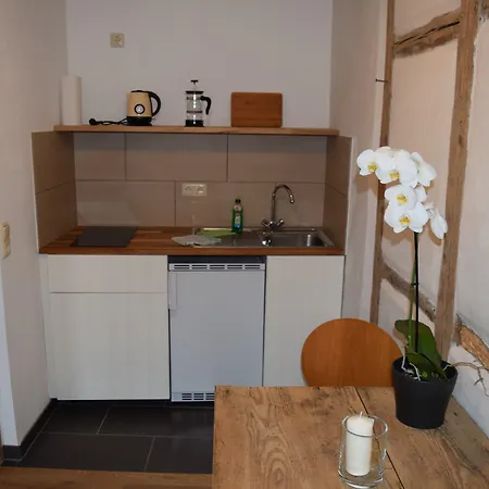 Stella Guest house 3*