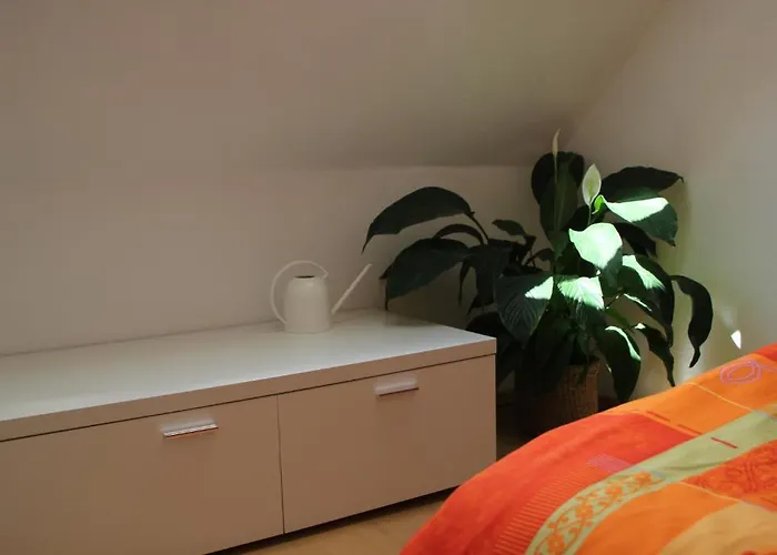 招待所 爱尔福特斯特拉公寓酒店 3*